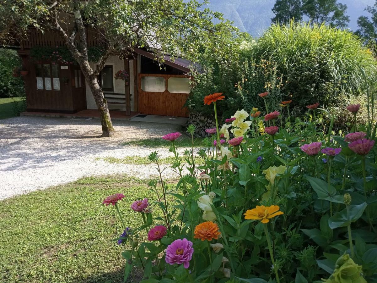 Holiday House Zeleni Gaj Bovec Exteriör bild